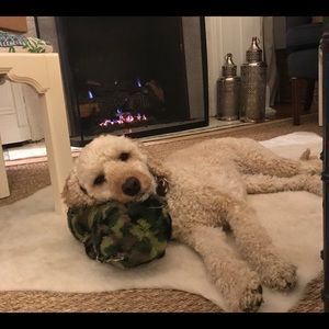 Meet your Posher, Anne